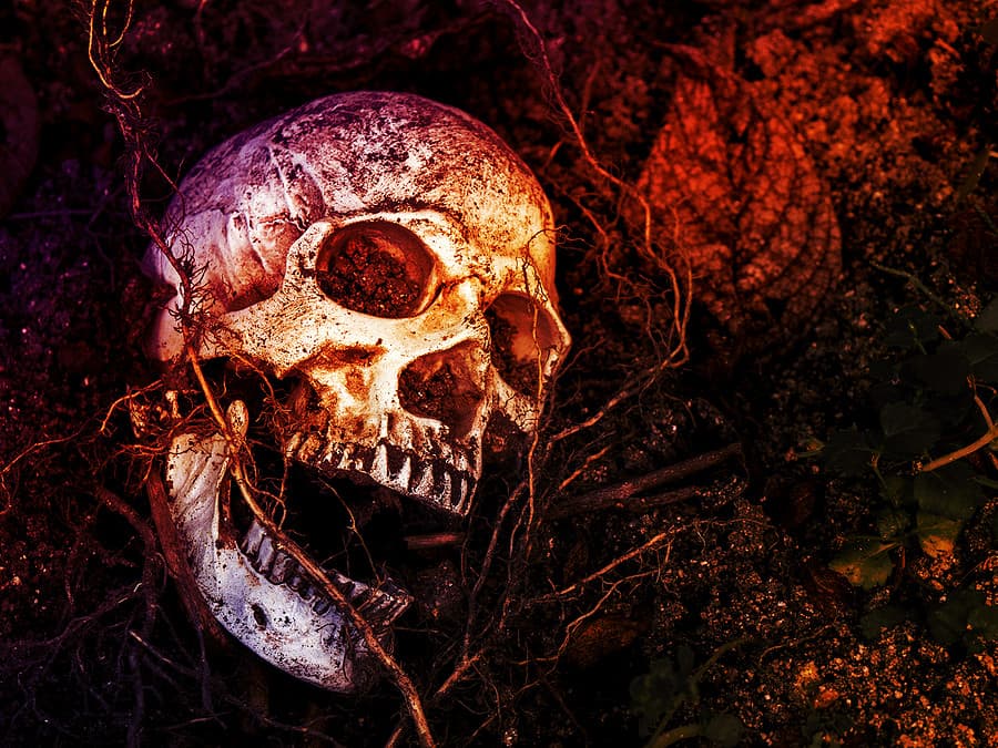Article main image